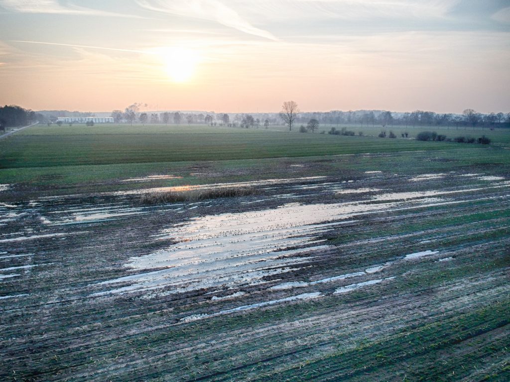 Eis auf dem Feld