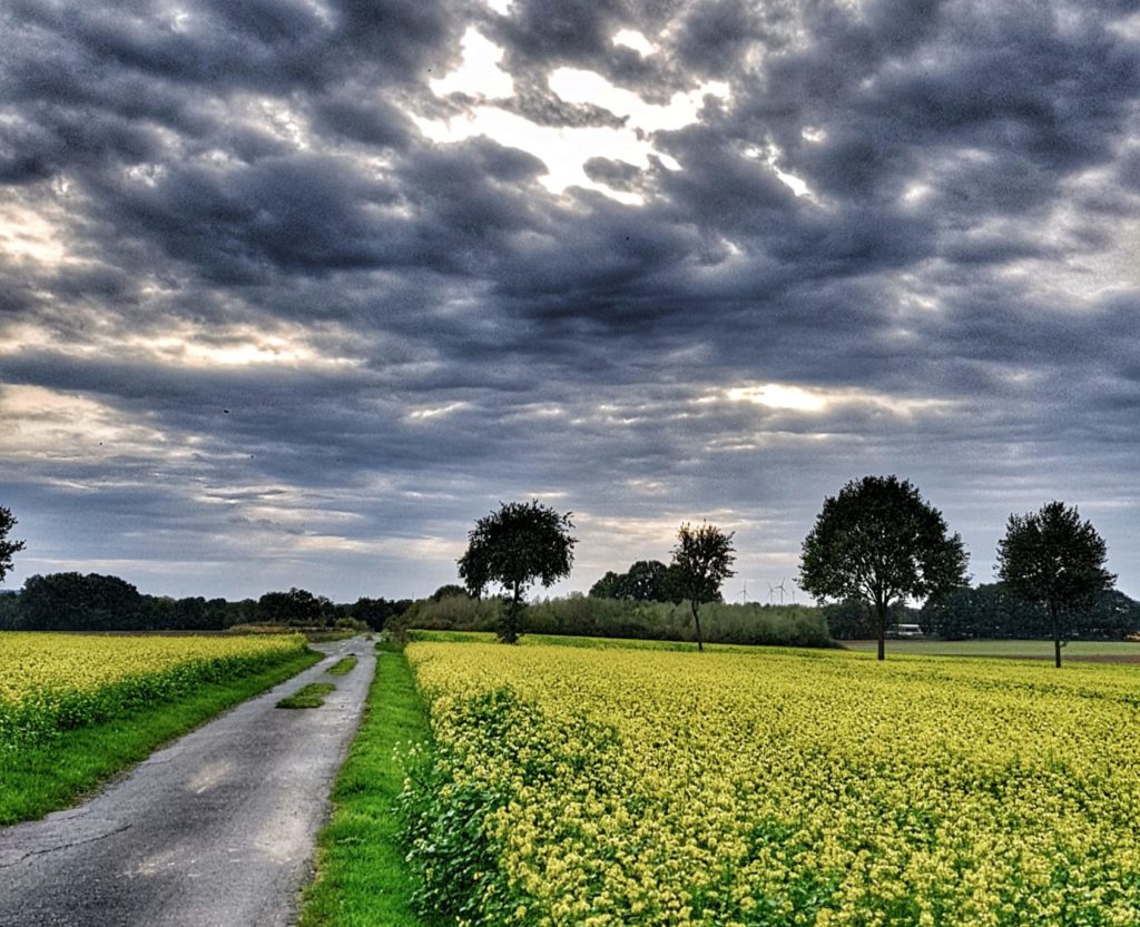 Weites Land